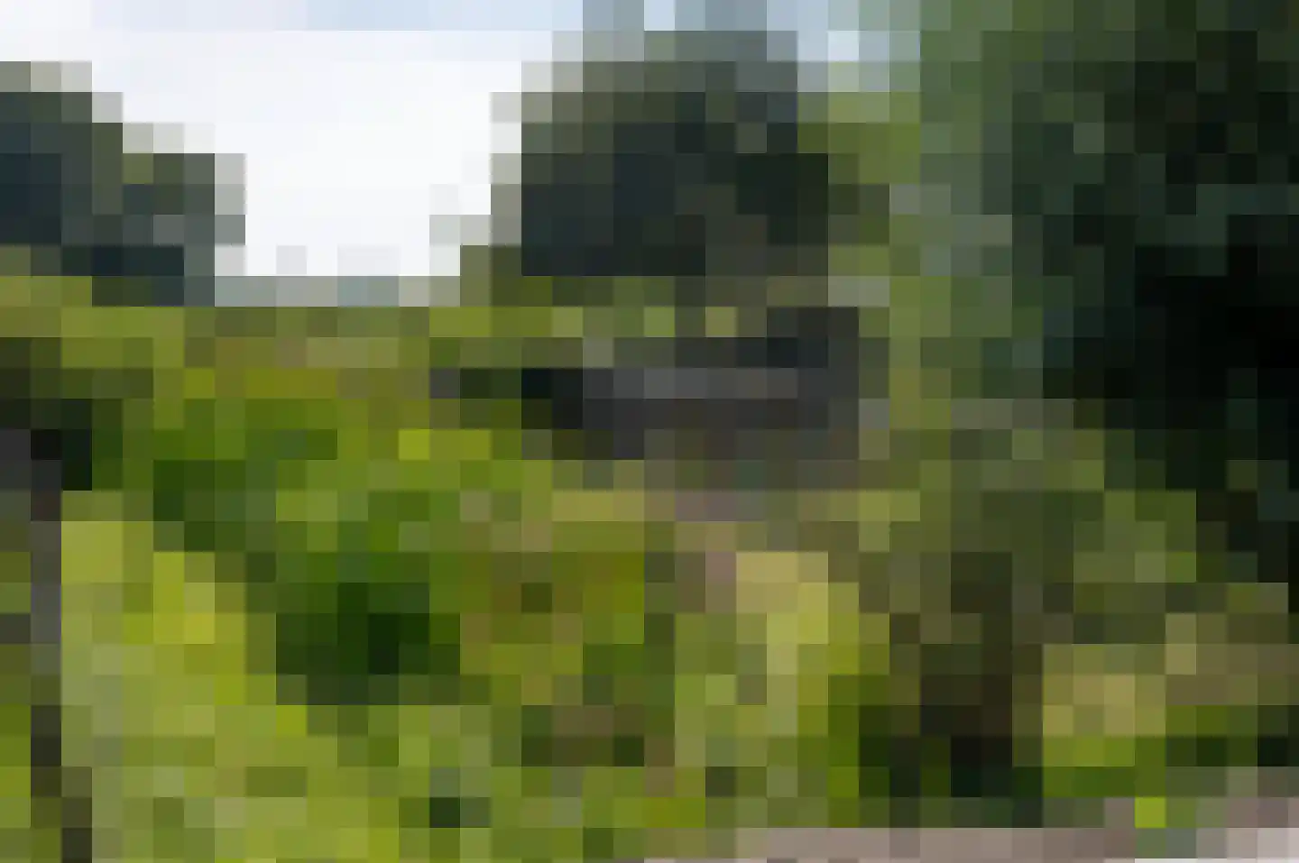 Hogeweg 37 Kamperveen thumbnail 54