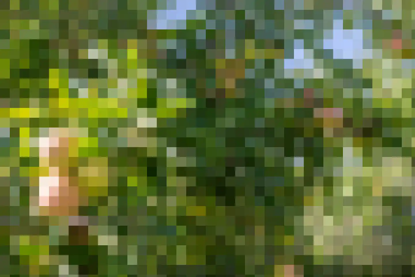 Hogeweg 37 Kamperveen thumbnail 58