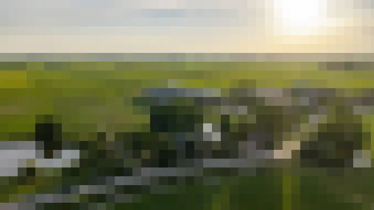 Hogeweg 37 Kamperveen thumbnail 70