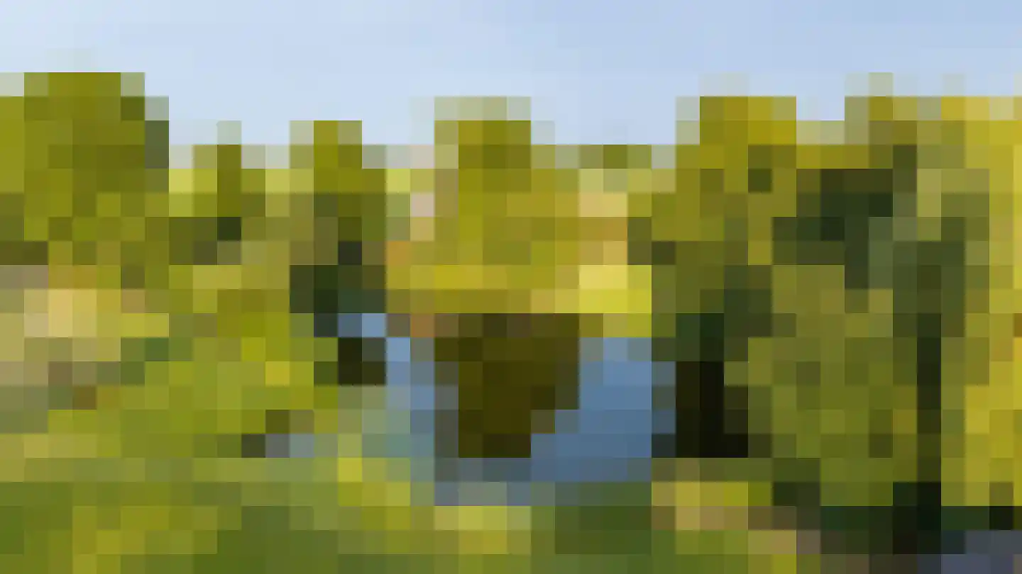 Hogeweg 37 Kamperveen thumbnail 72