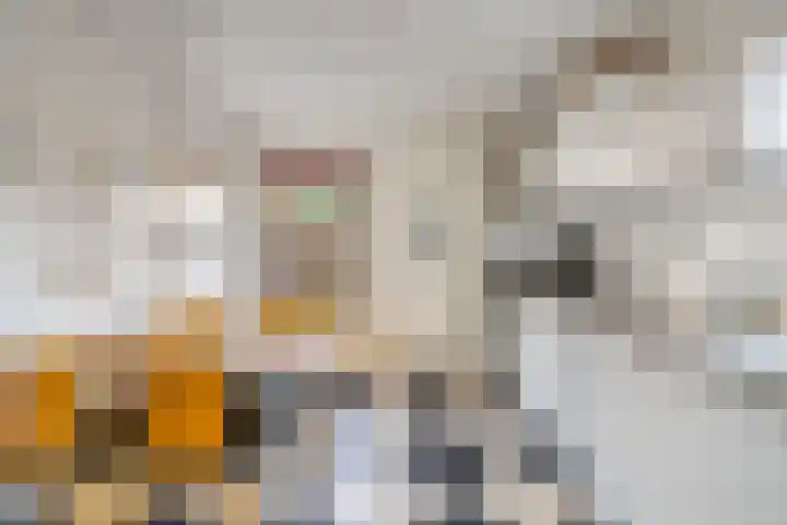 Hogeweg 4 A Zuidlaren thumbnail 18