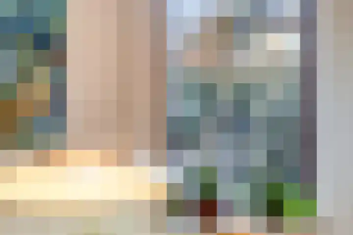 Hogeweg 4 A Zuidlaren thumbnail 20