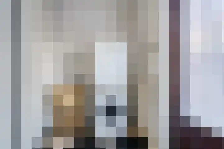 Hogeweg 4 A Zuidlaren thumbnail 21