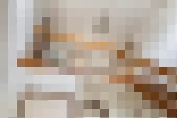 Hogeweg 4 A Zuidlaren thumbnail 26