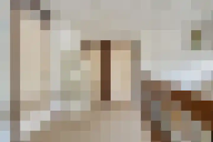 Hogeweg 4 A Zuidlaren thumbnail 32