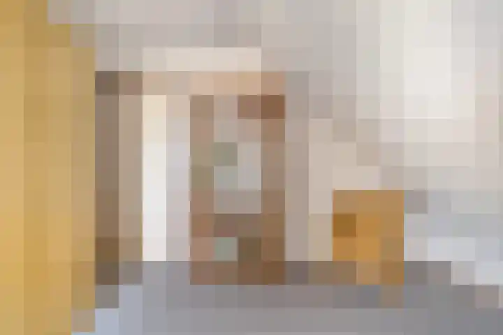 Hogeweg 4 A Zuidlaren thumbnail 39