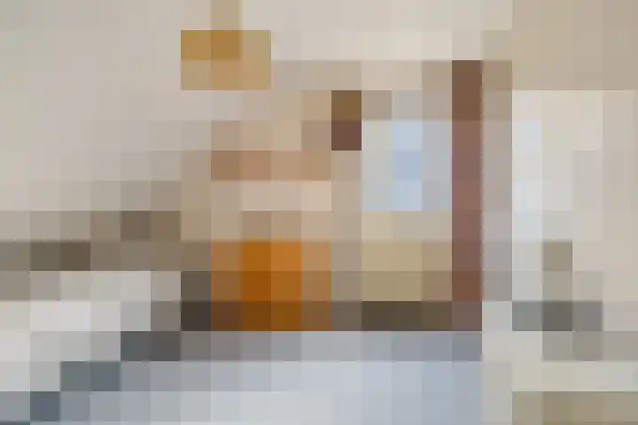 Hogeweg 4 A Zuidlaren thumbnail 42