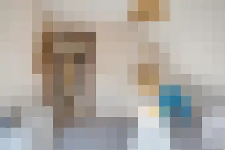 Hogeweg 4 A Zuidlaren thumbnail 43
