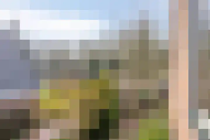 Hogeweg 4 A Zuidlaren thumbnail 46