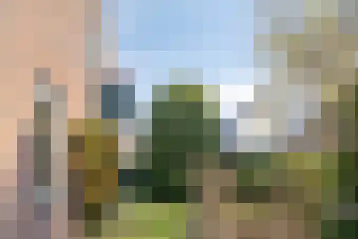 Hogeweg 4 A Zuidlaren thumbnail 47