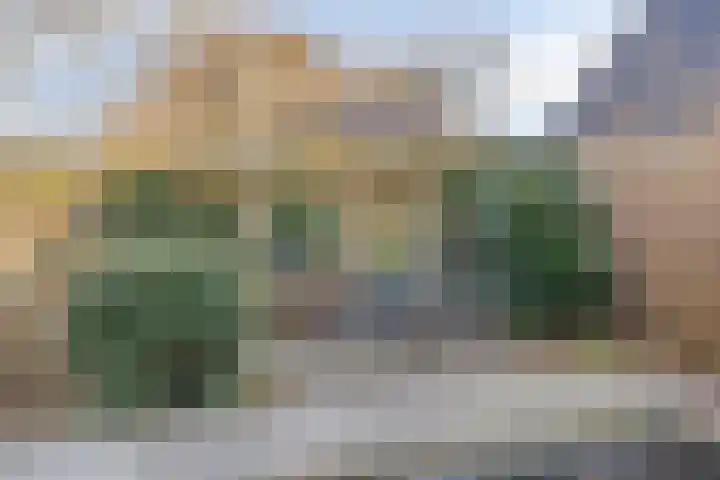 Hogeweg 4 A Zuidlaren thumbnail 53