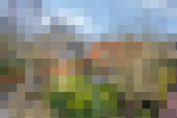Hogeweg 4 A Zuidlaren thumbnail 54