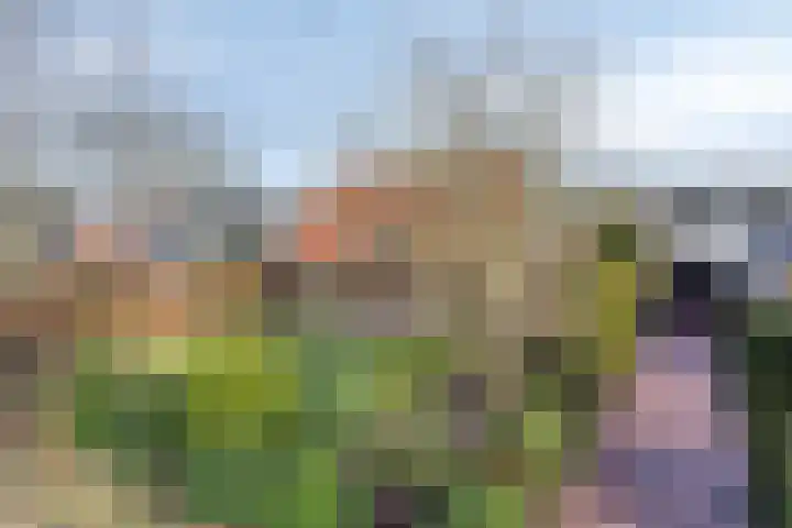 Hogeweg 4 A Zuidlaren thumbnail 55