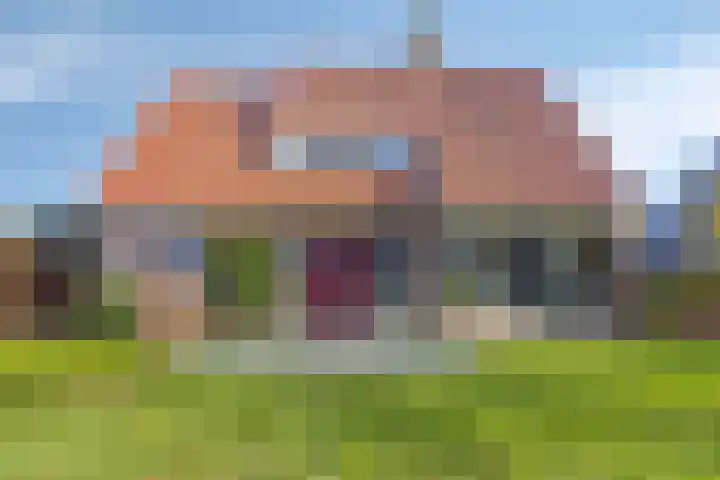 Hogeweg 4 A Zuidlaren thumbnail 56