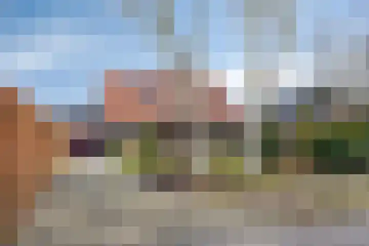 Hogeweg 4 A Zuidlaren thumbnail 57