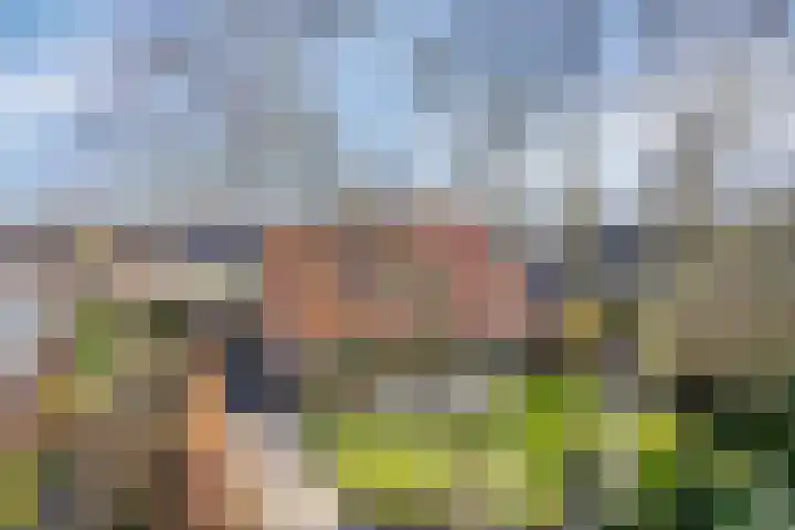 Hogeweg 4 A Zuidlaren thumbnail 58