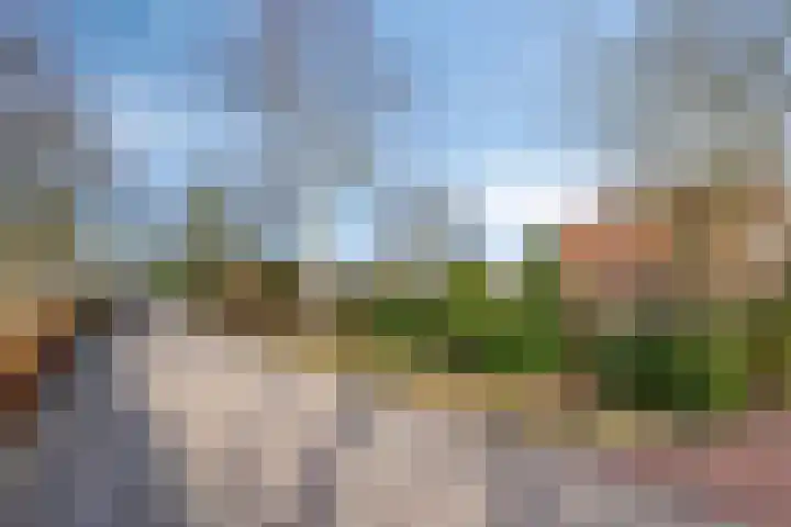 Hogeweg 4 A Zuidlaren thumbnail 59