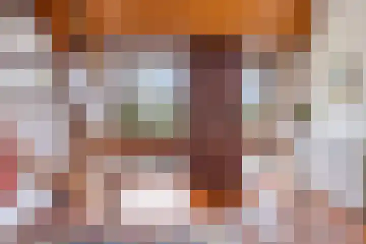 Hogeweg 4 A Zuidlaren thumbnail 6