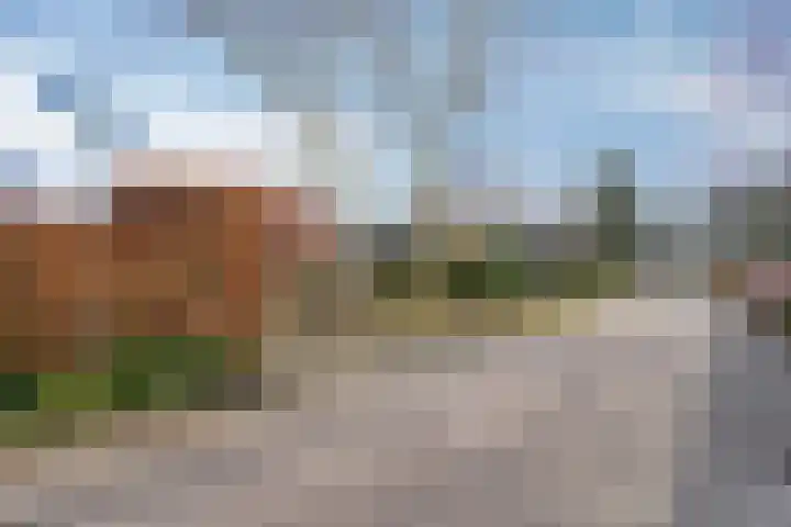 Hogeweg 4 A Zuidlaren thumbnail 60