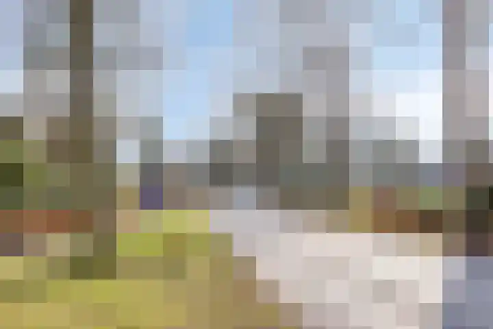 Hogeweg 4 A Zuidlaren thumbnail 61
