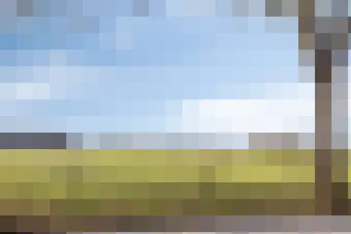 Hogeweg 4 A Zuidlaren thumbnail 62