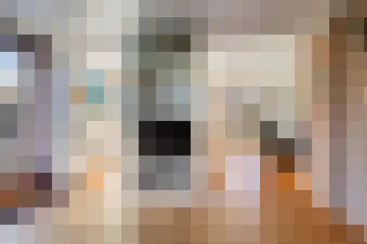 Hogeweg 4 A Zuidlaren thumbnail 7