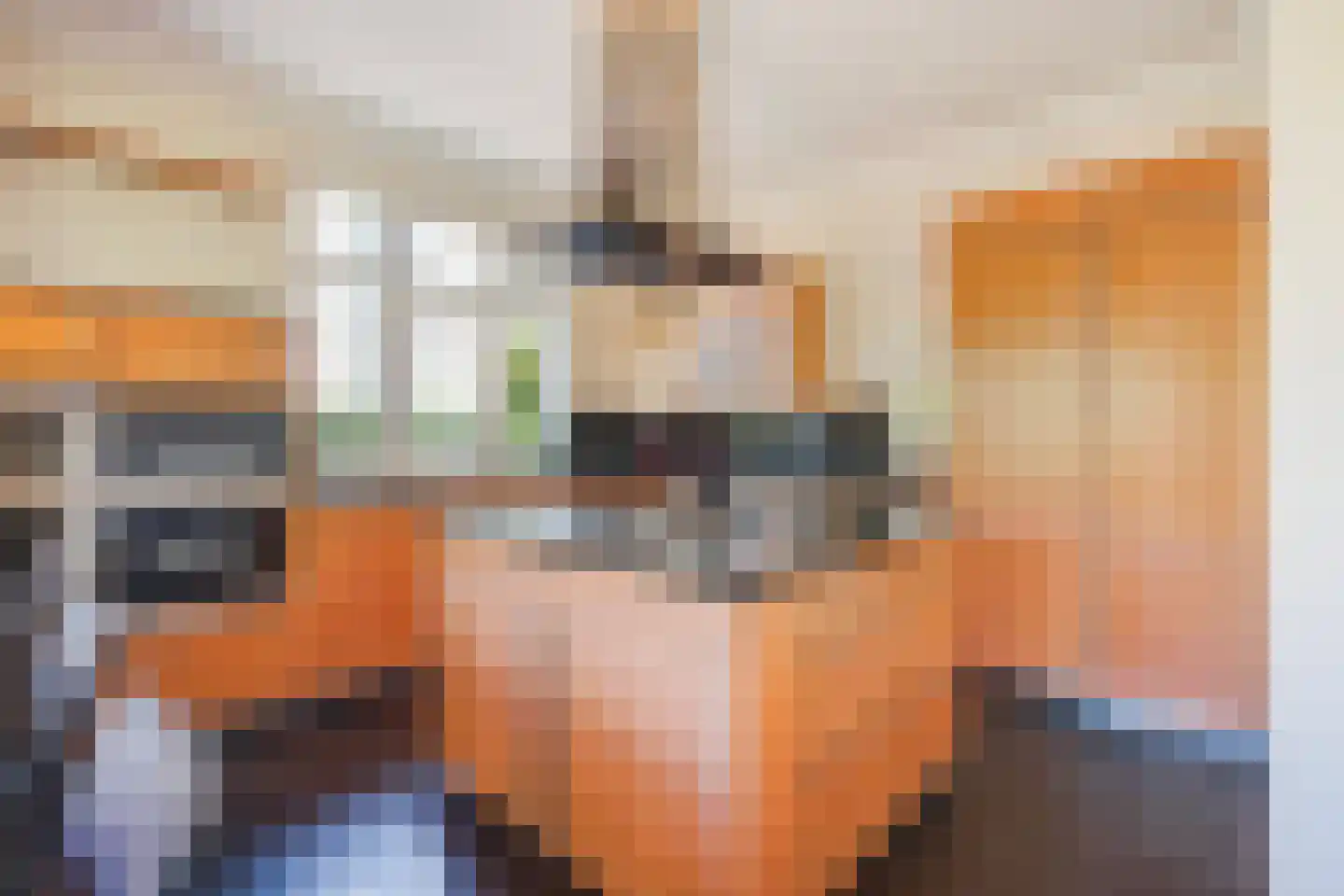 Hogeweg 4 Den Haag thumbnail 10
