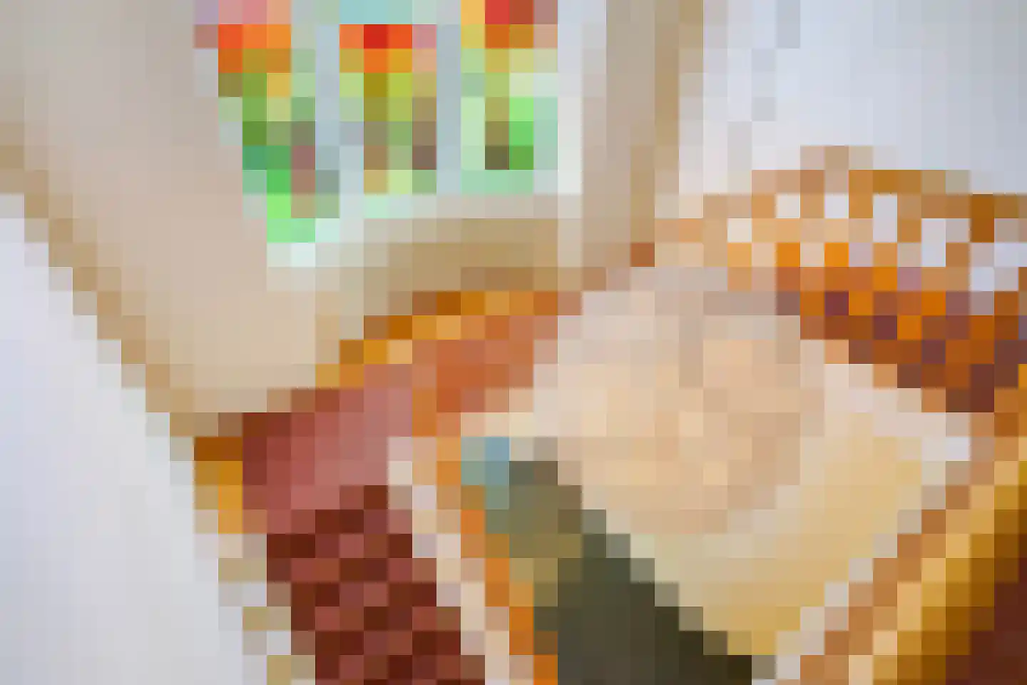 Hogeweg 4 Den Haag thumbnail 12
