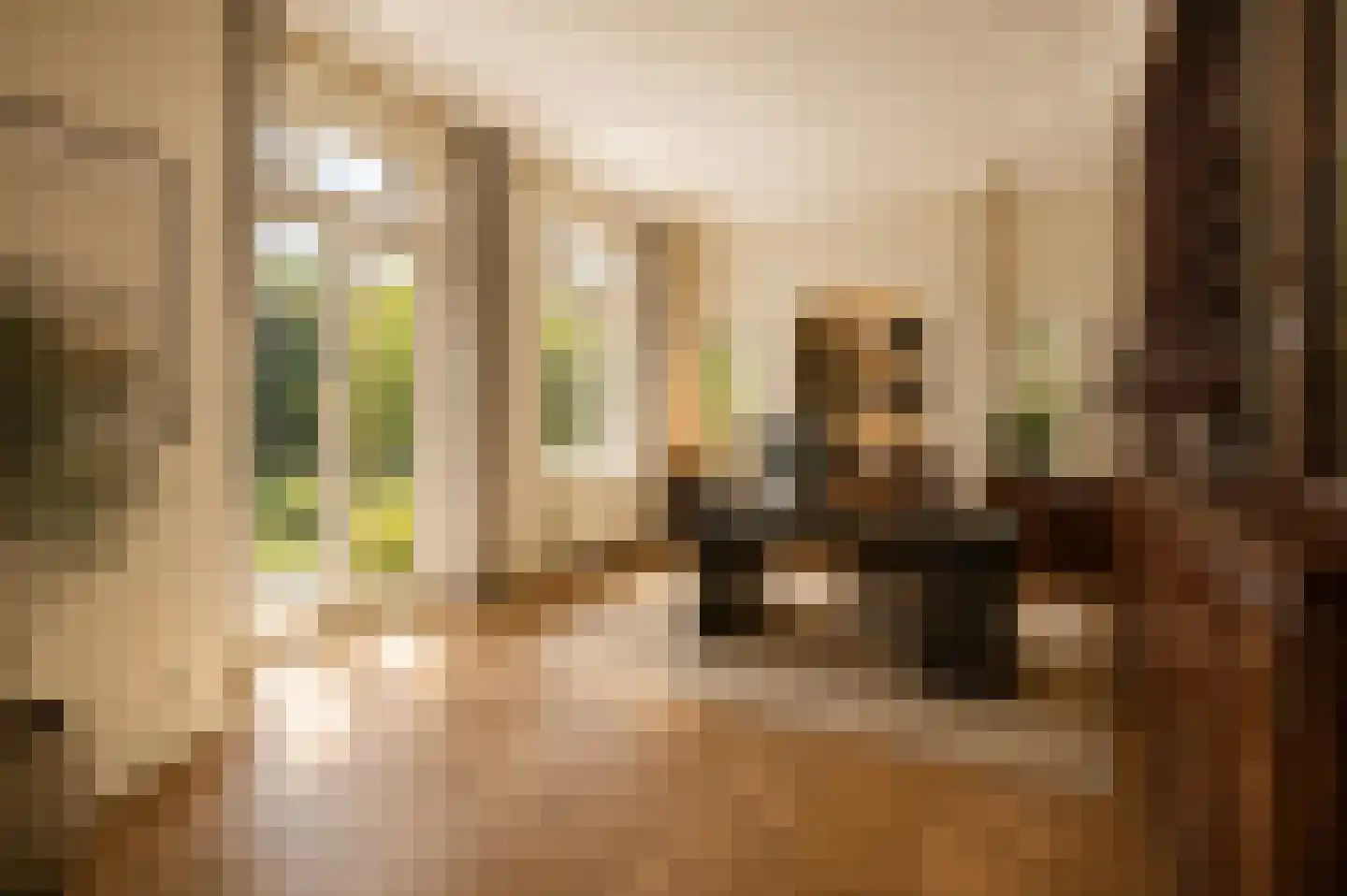 Hogeweg 4 Den Haag thumbnail 13