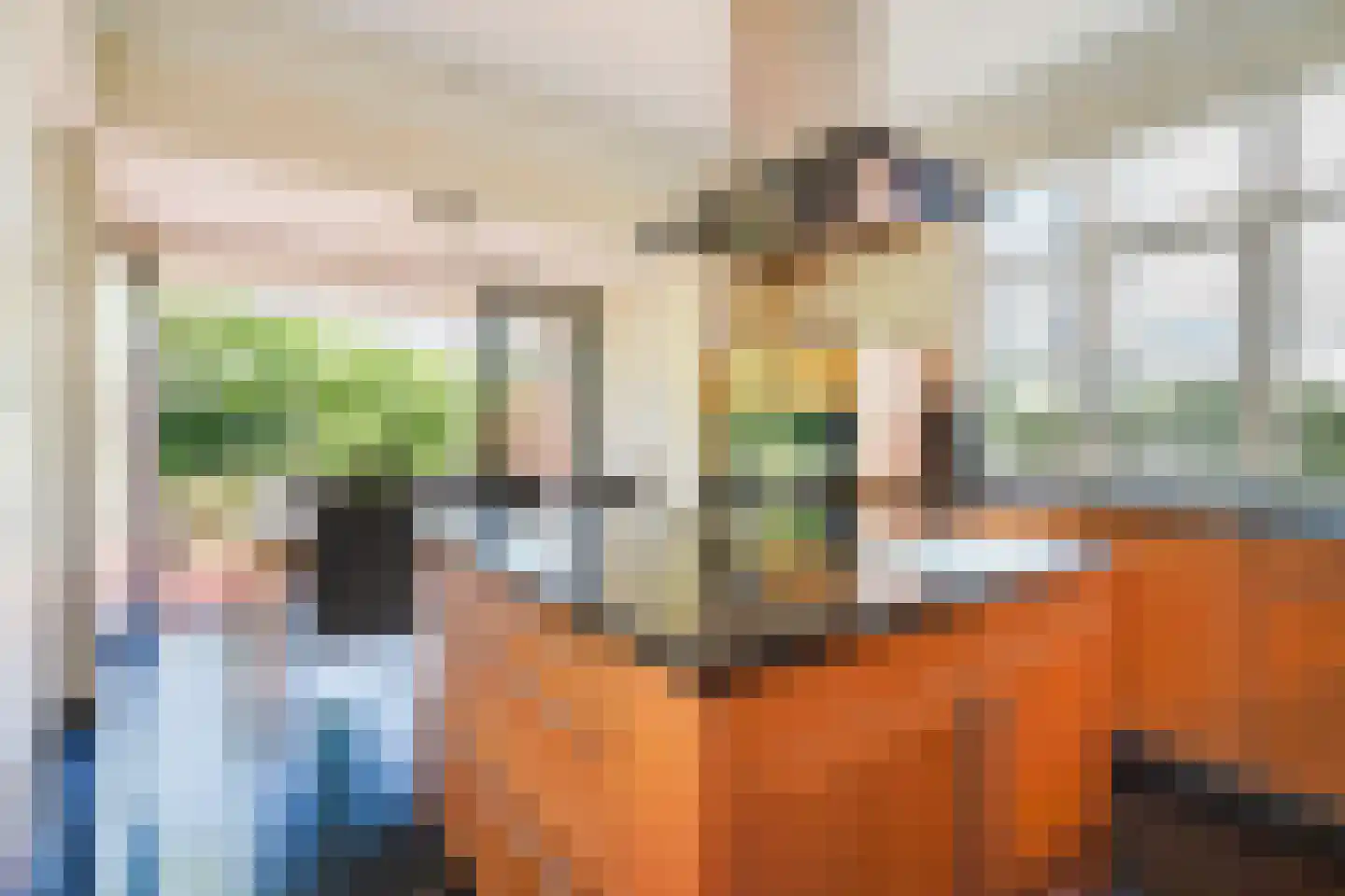 Hogeweg 4 Den Haag thumbnail 13
