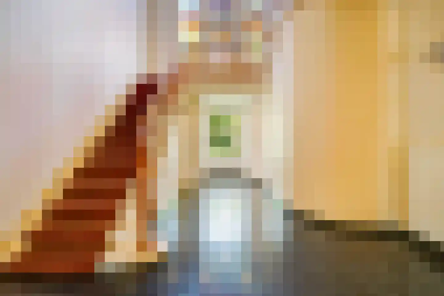 Hogeweg 4 Den Haag thumbnail 16