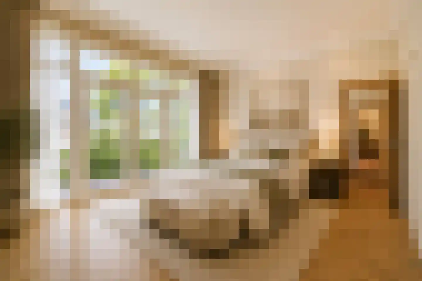 Hogeweg 4 Den Haag thumbnail 16