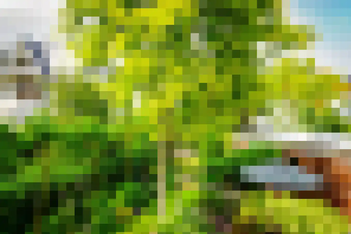 Hogeweg 4 Den Haag thumbnail 17