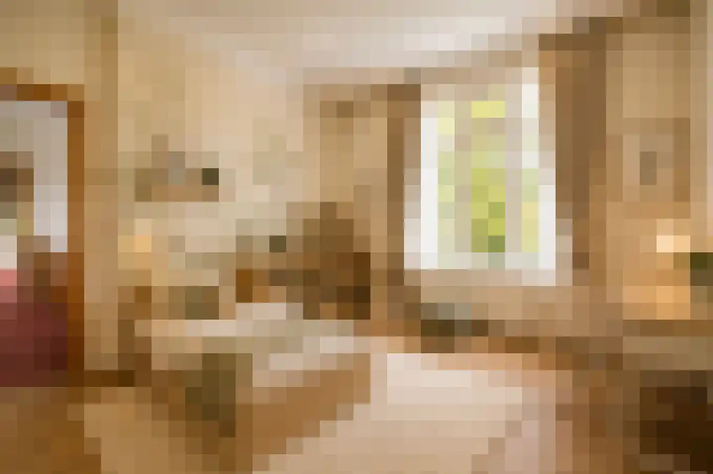 Hogeweg 4 Den Haag thumbnail 19