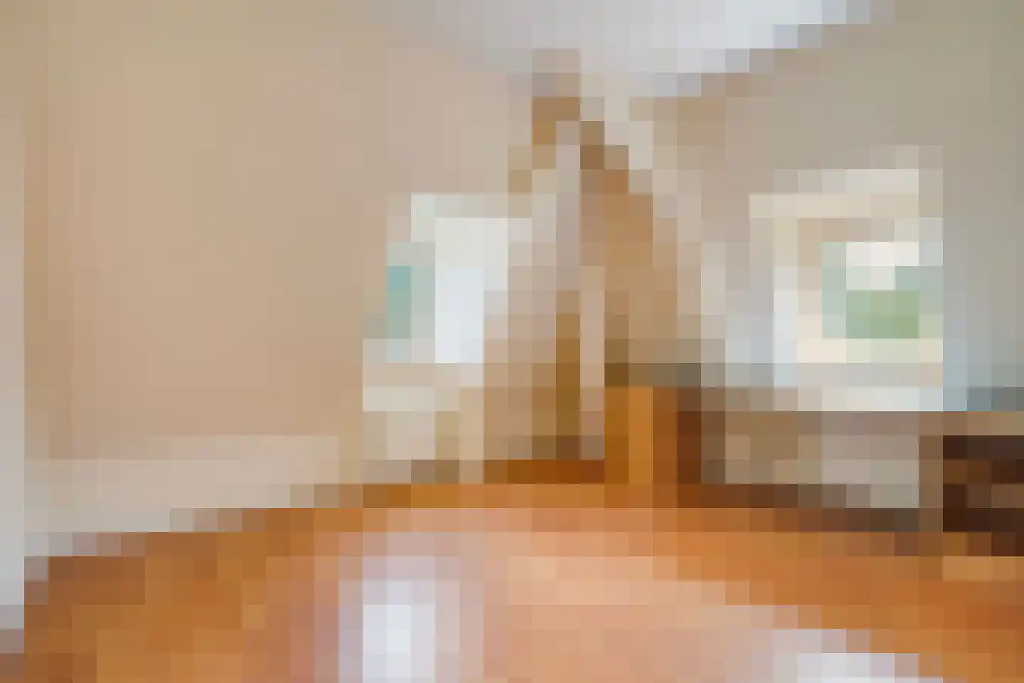 Hogeweg 4 Den Haag thumbnail 25