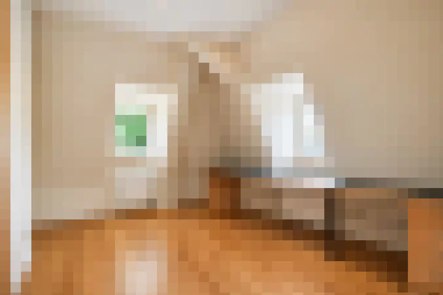 Hogeweg 4 Den Haag thumbnail 32