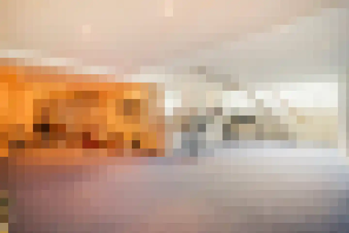 Hogeweg 4 Den Haag thumbnail 35