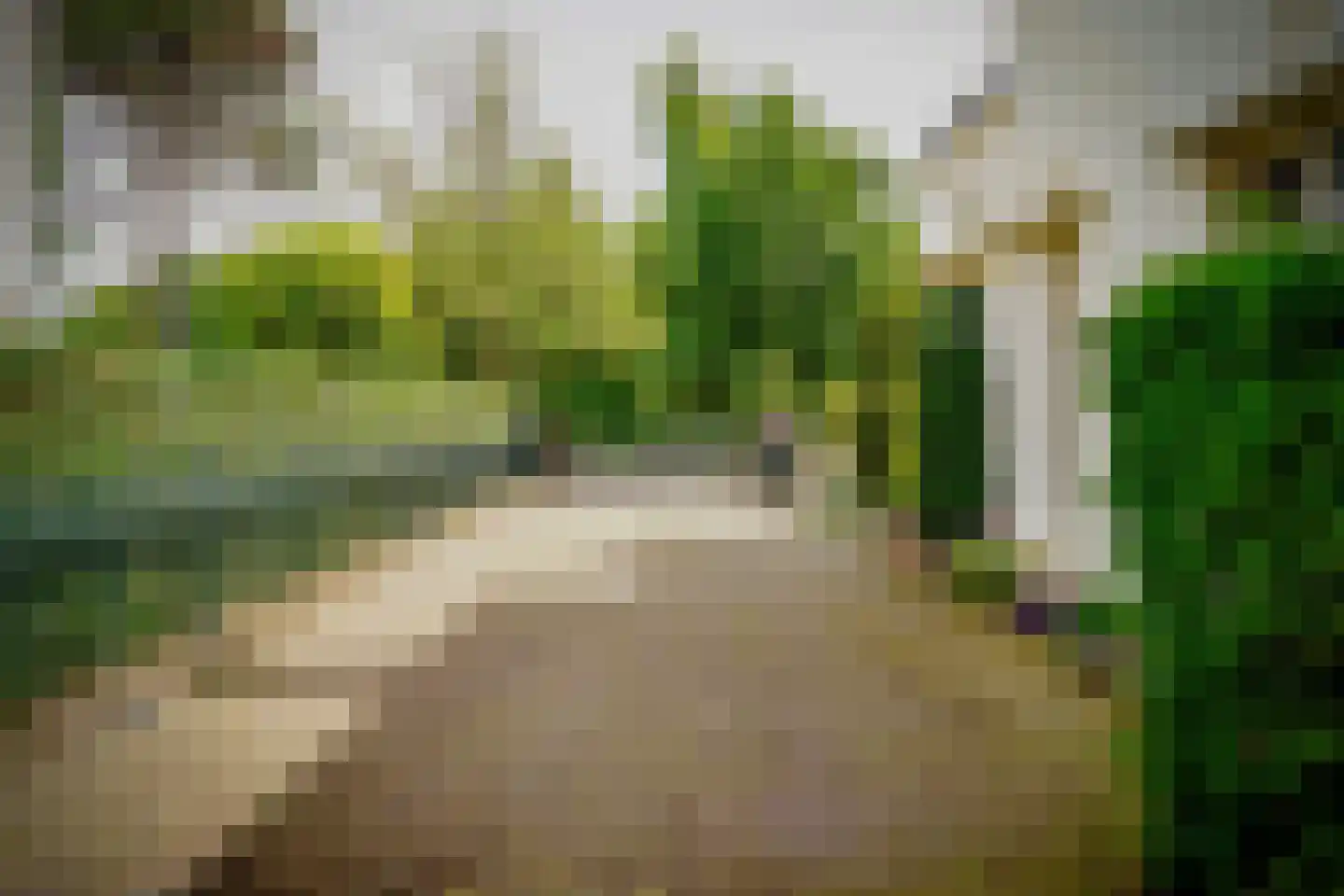 Hogeweg 4 Den Haag thumbnail 36