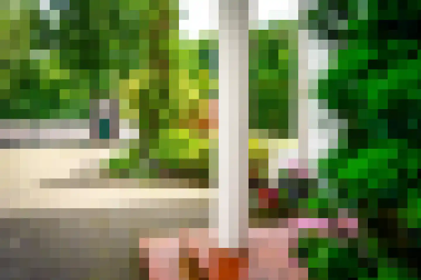 Hogeweg 4 Den Haag thumbnail 37