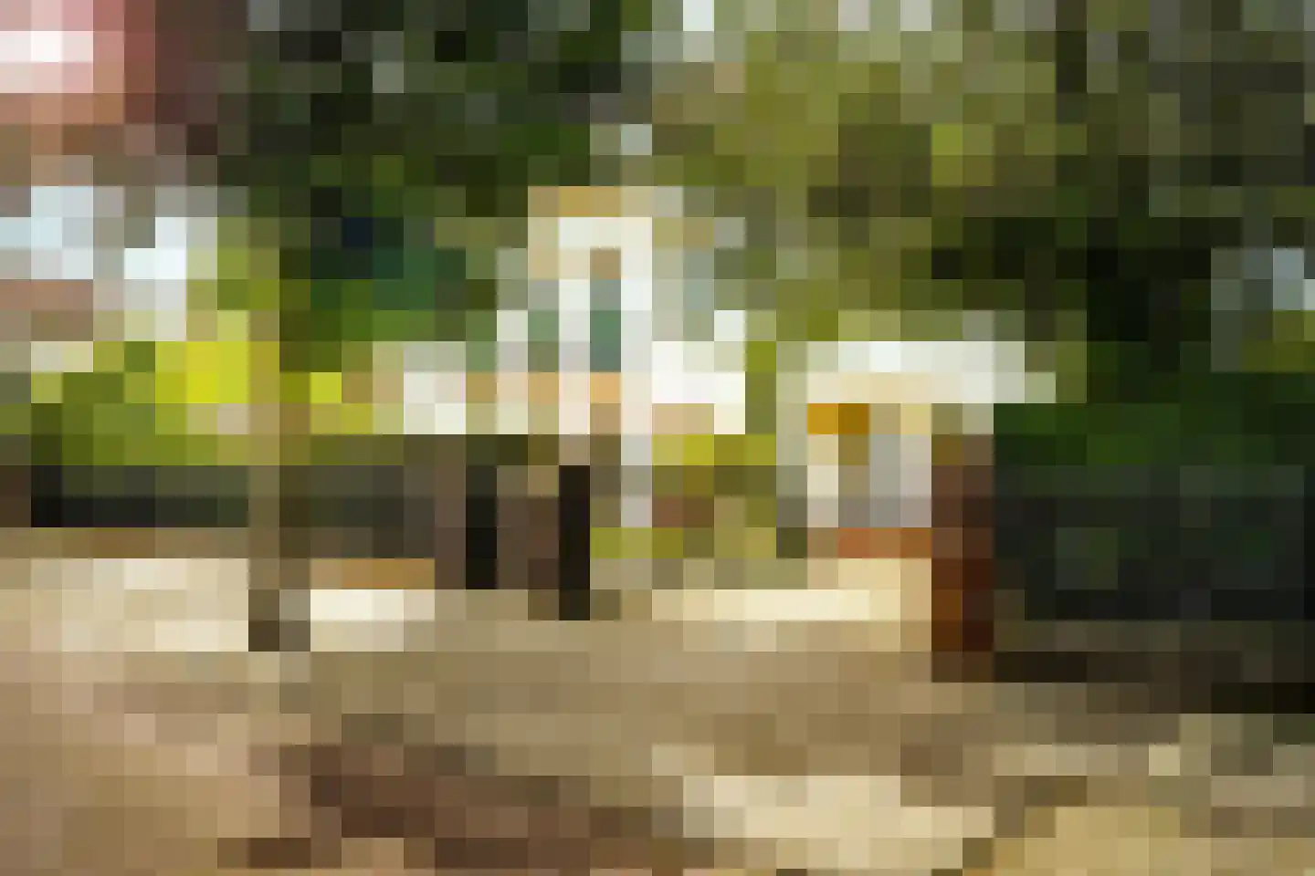 Hogeweg 4 Den Haag thumbnail 39