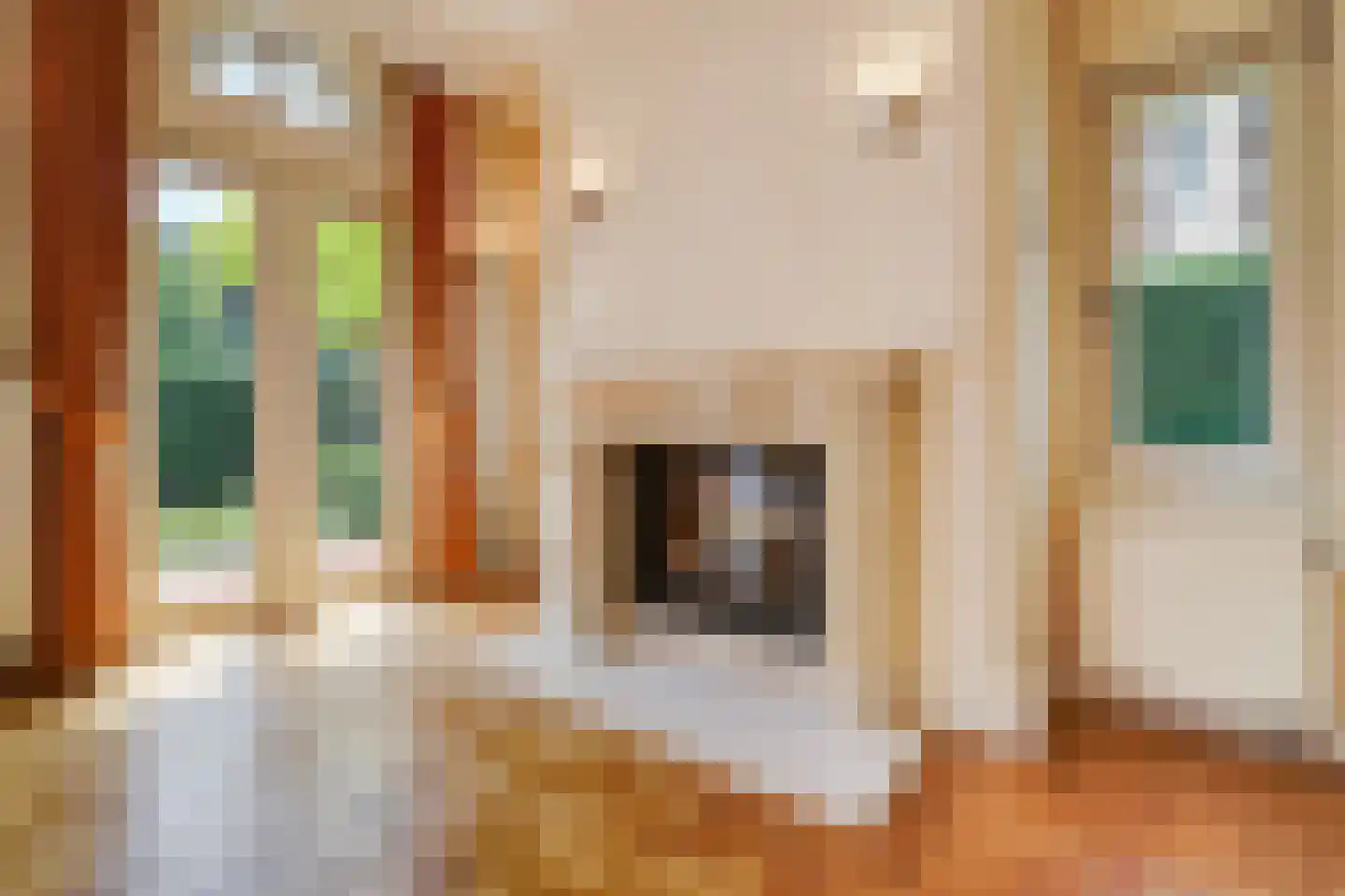 Hogeweg 4 Den Haag thumbnail 4