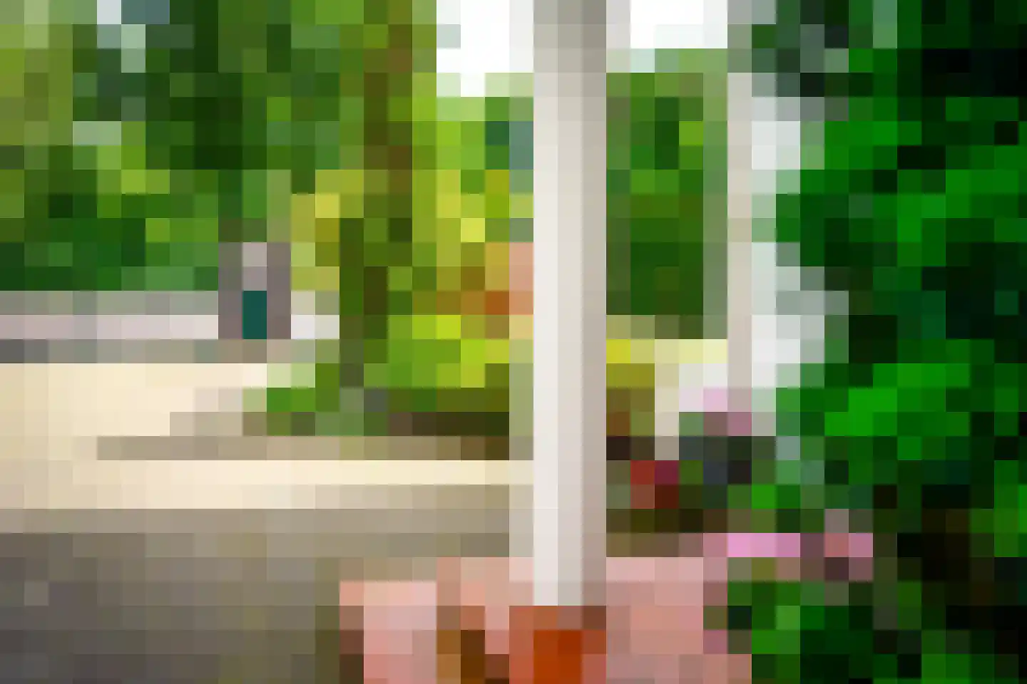 Hogeweg 4 Den Haag thumbnail 47