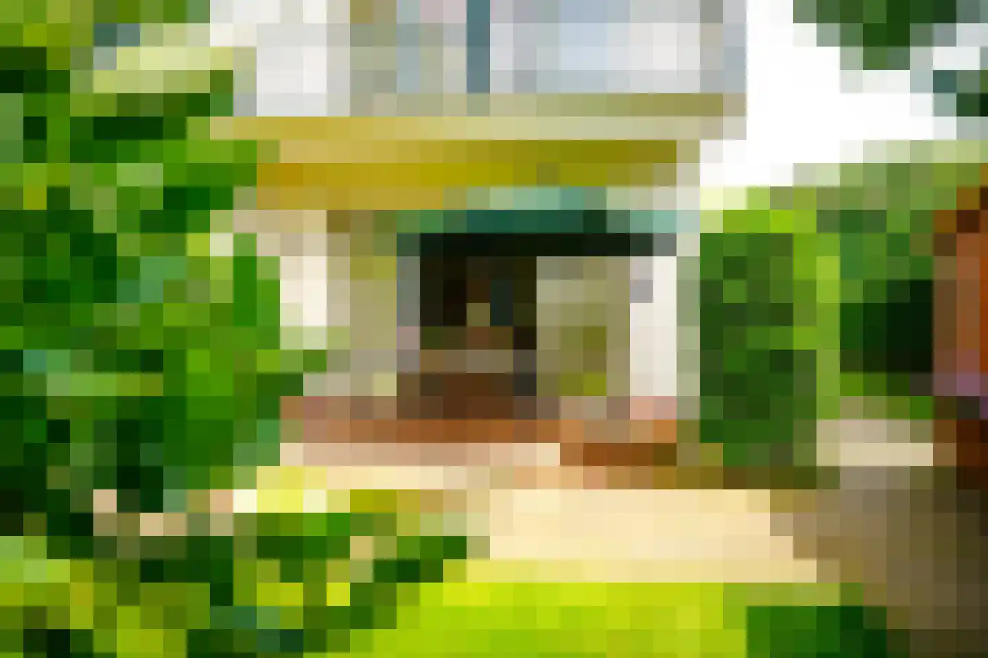 Hogeweg 4 Den Haag thumbnail 5