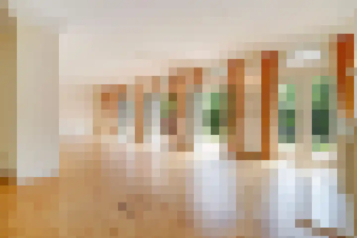 Hogeweg 4 Den Haag thumbnail 5