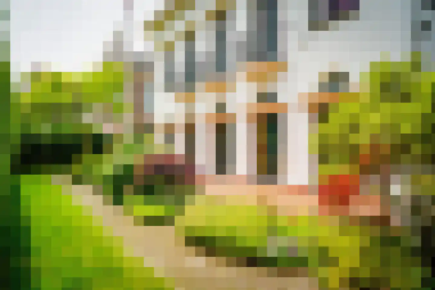 Hogeweg 4 Den Haag thumbnail 50