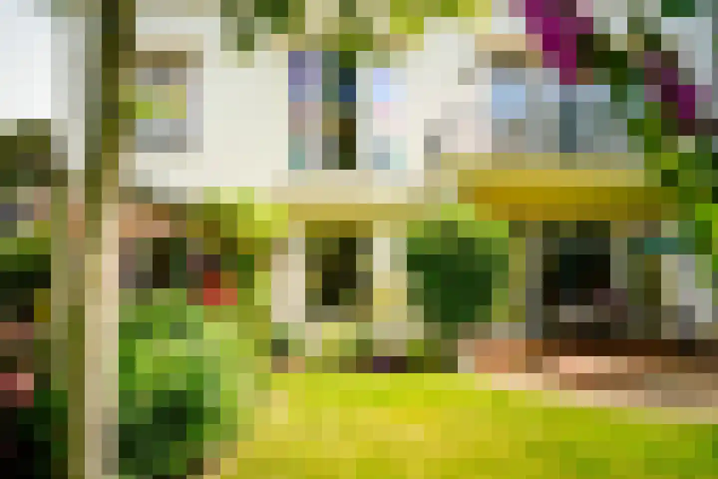 Hogeweg 4 Den Haag thumbnail 6