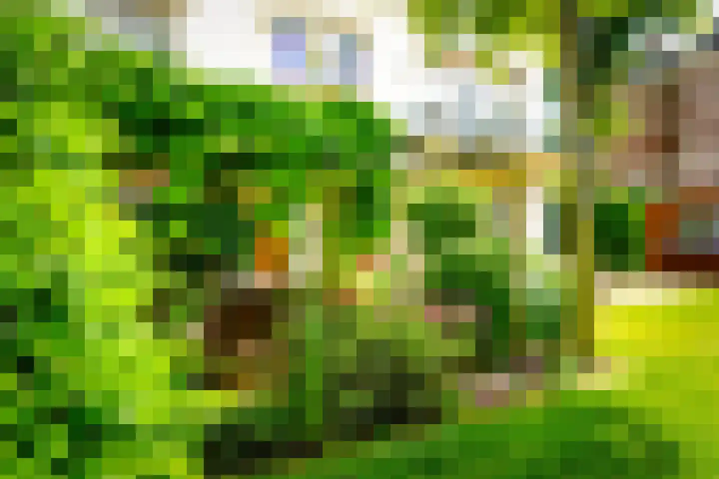 Hogeweg 4 Den Haag thumbnail 7