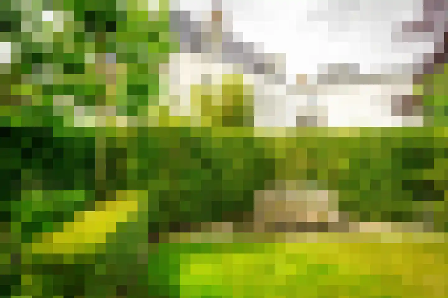 Hogeweg 4 Den Haag thumbnail 8