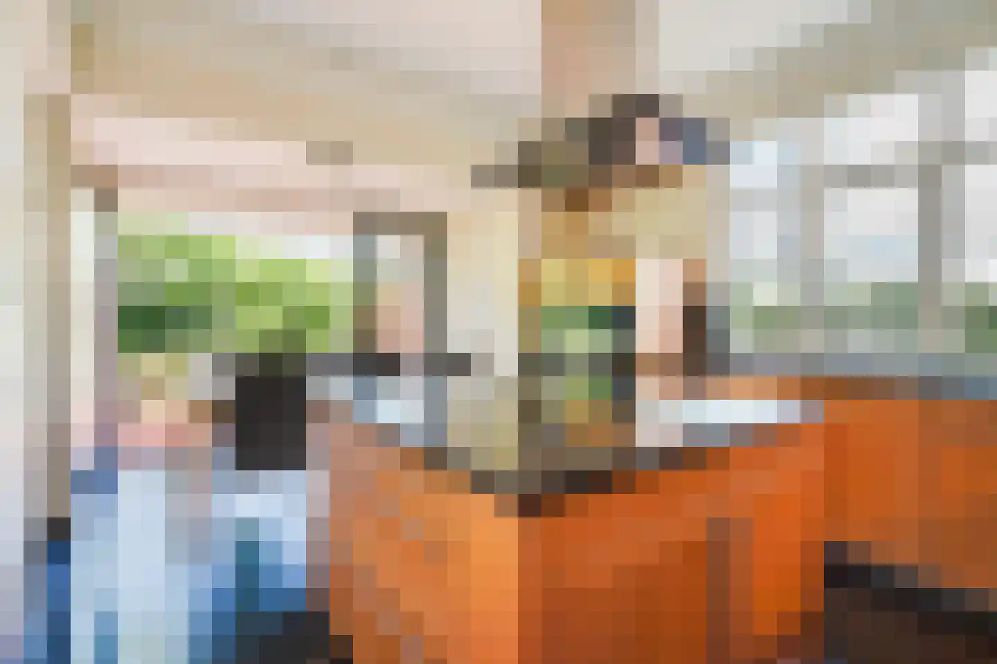 Hogeweg 4 Den Haag thumbnail 9