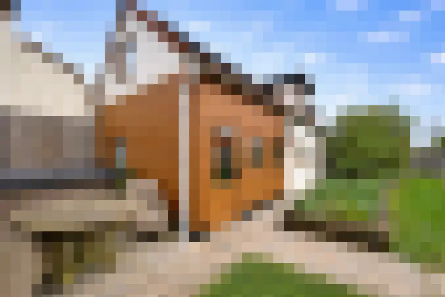 Hogeweg 4 Hoofdplaat